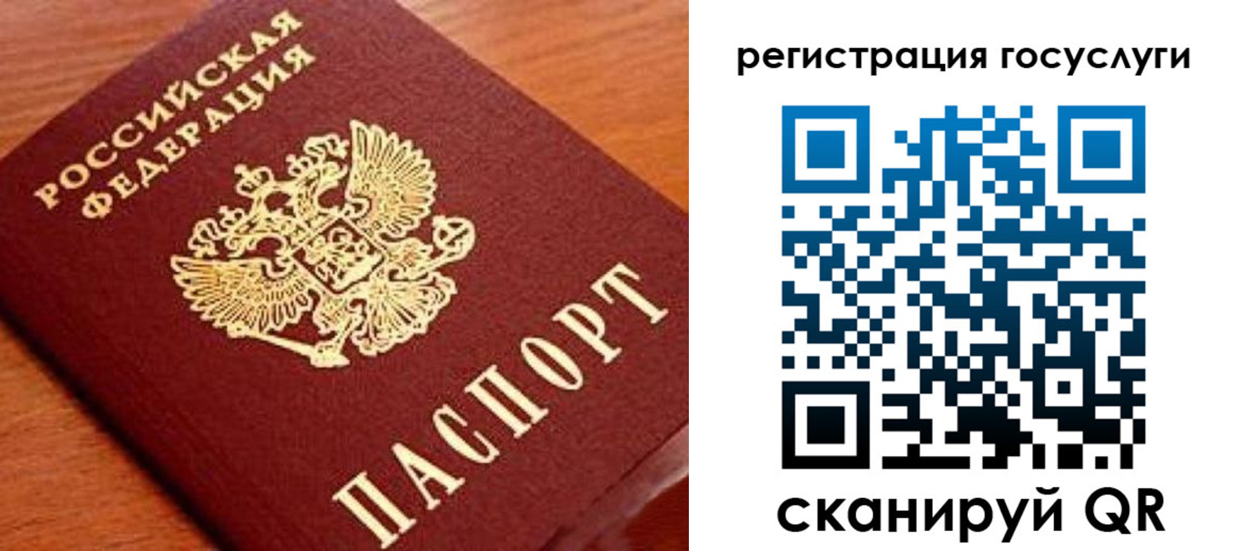 прописка иностранных граждан в Струнино